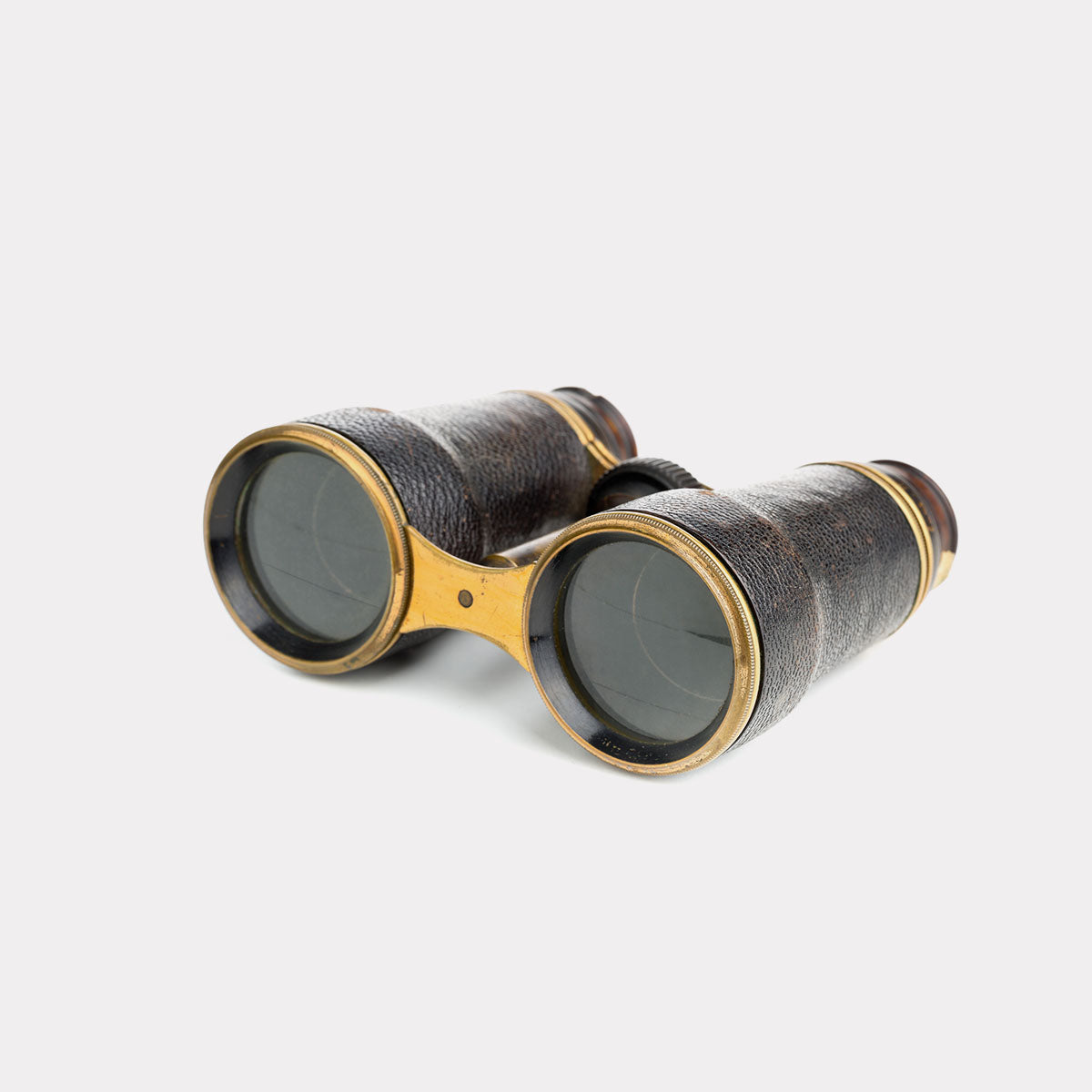 Wide Angular Binocular