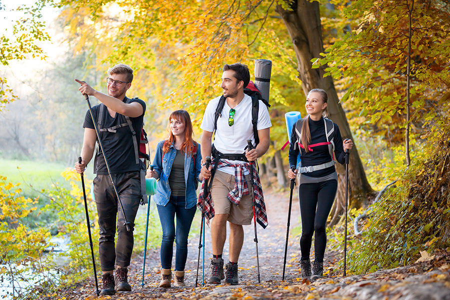 Group hiking on a green mountain trail